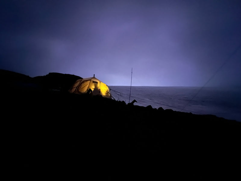 Load image into Gallery viewer, Venor Gamme - expedition - beige
