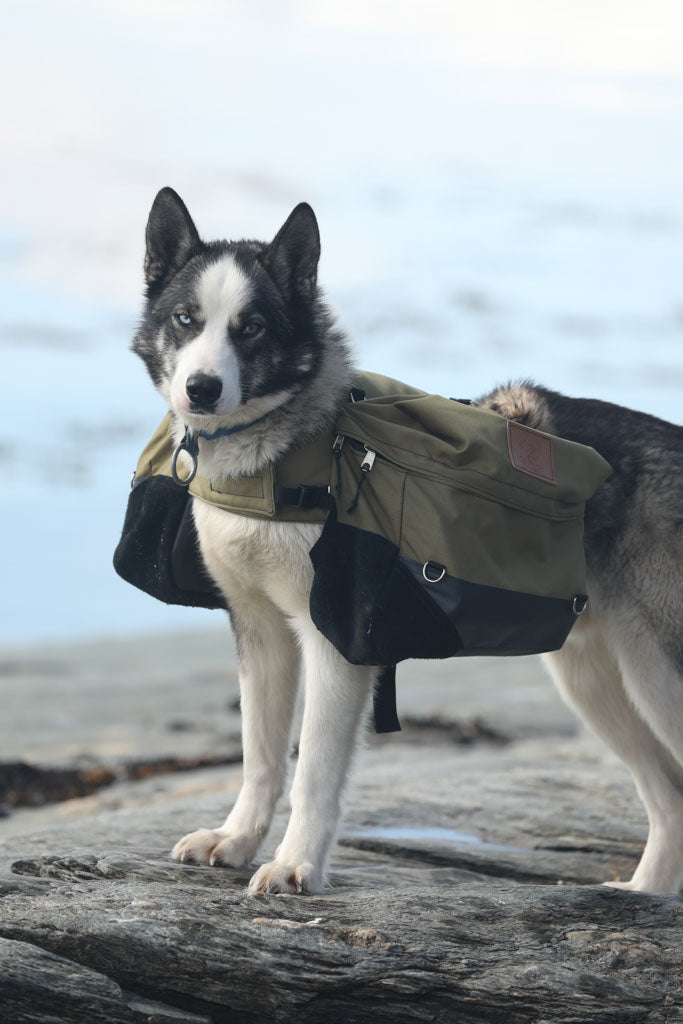Load image into Gallery viewer, Laika Original Backpack for Dogs
