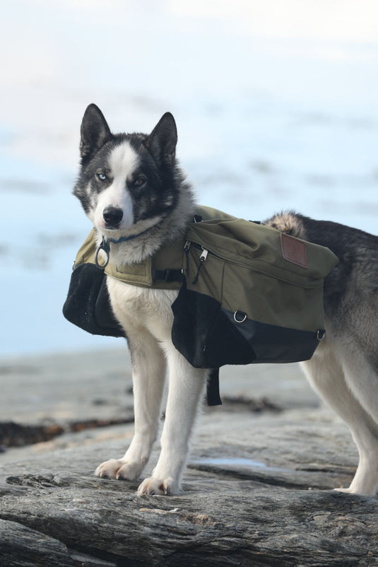 Laika Original Backpack for Dogs