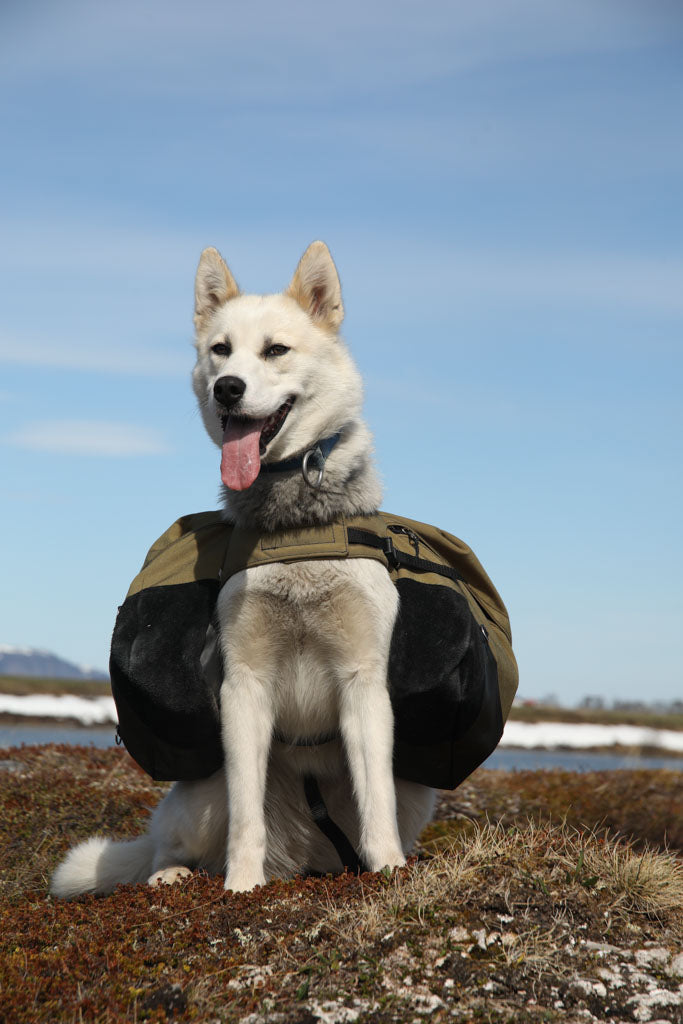 Load image into Gallery viewer, Laika Original Backpack for Dogs
