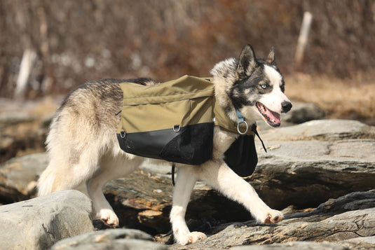 Laika Original Backpack for Dogs