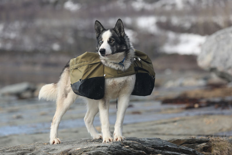 Load image into Gallery viewer, Laika Original Backpack for Dogs

