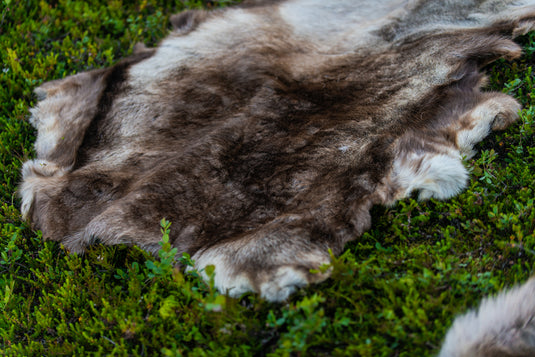 Reindeer Hide