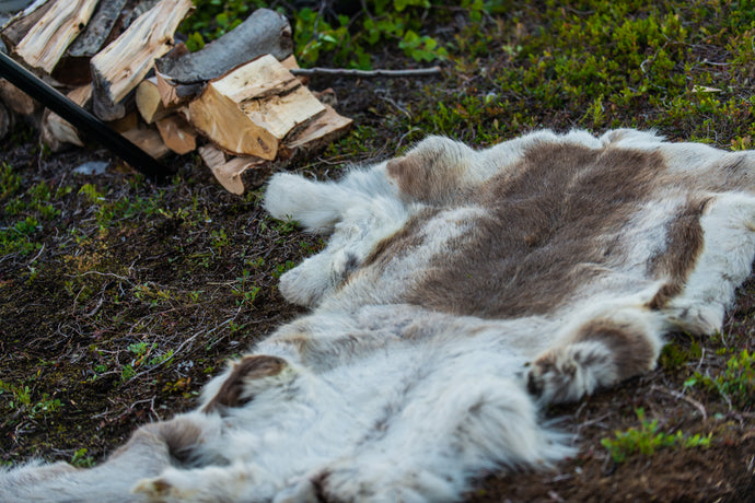 Reindeer Hide