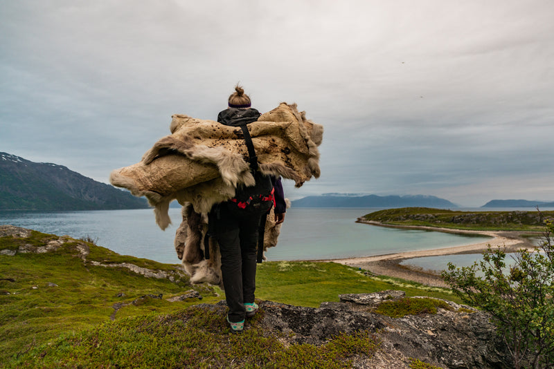Load image into Gallery viewer, Reindeer Hide
