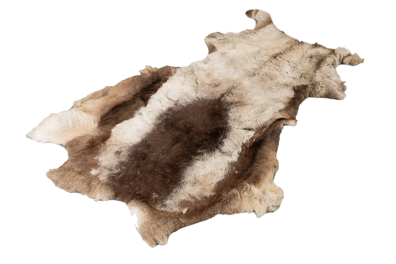 Load image into Gallery viewer, Reindeer Hide
