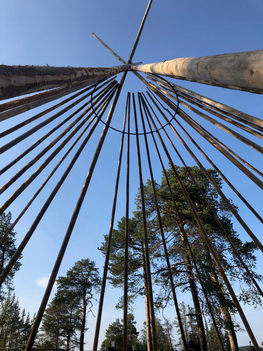 Venor Storlavvo - trestenger